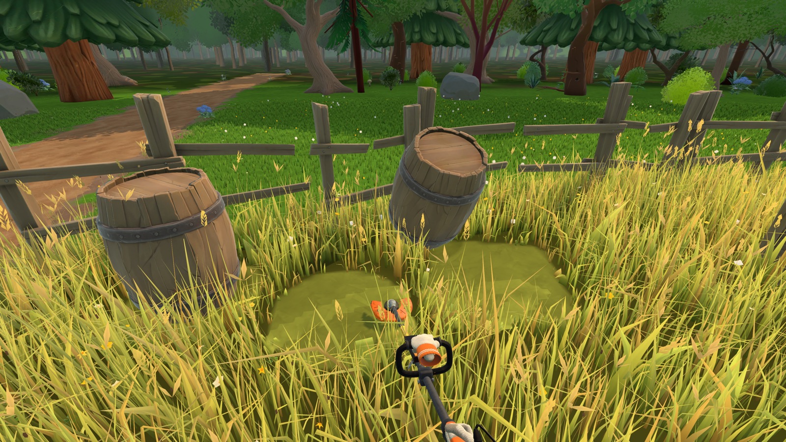 Dry grass by the shed