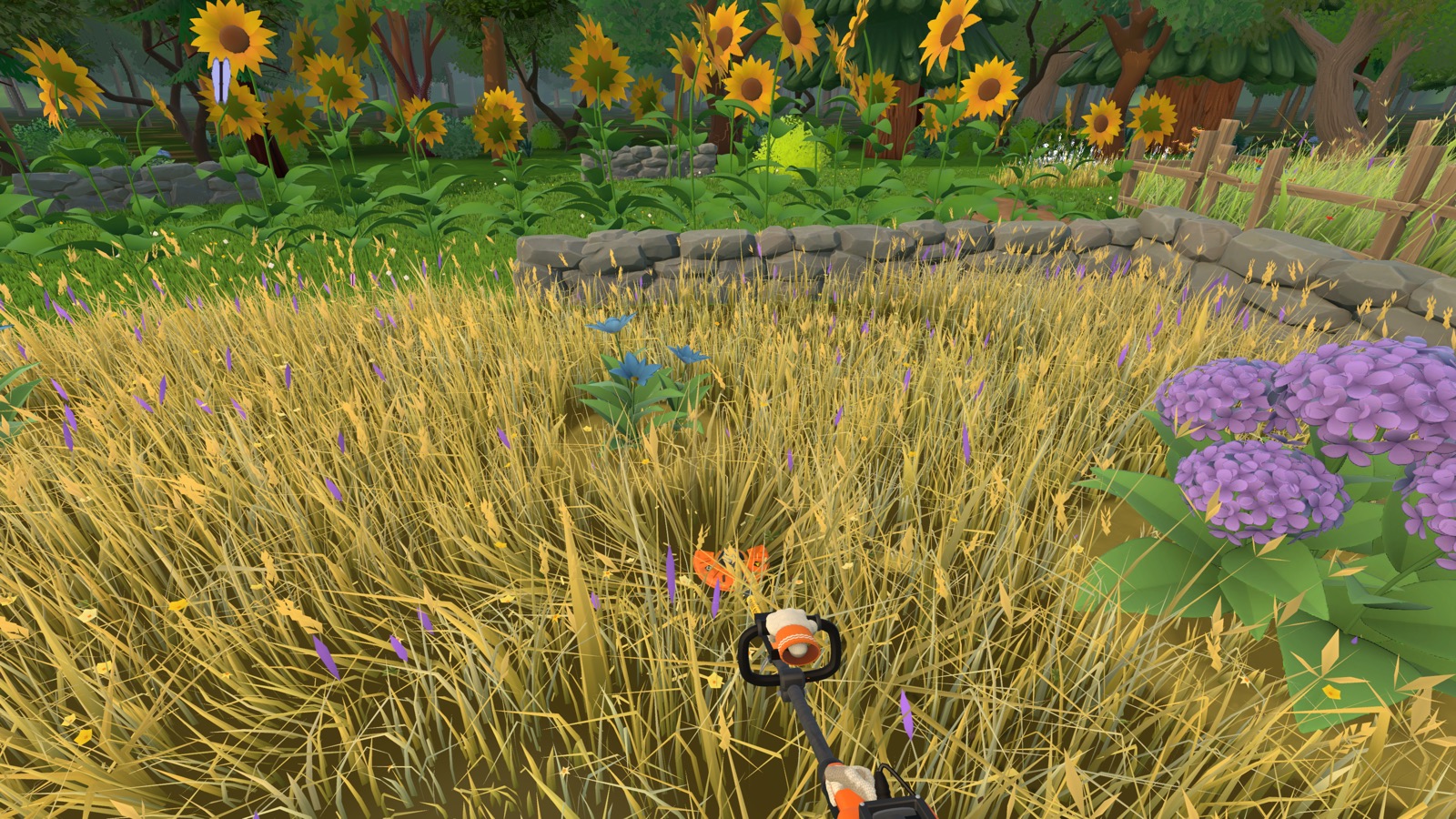 Mowing the flower garden by the sunflowers